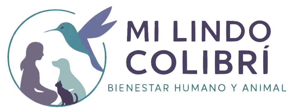 mi lindo colibri