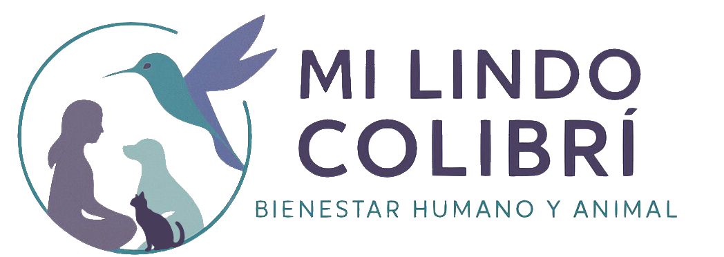 mi lindo colibri